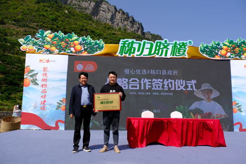 鄉村振興壟上行，秭歸臍橙齊開園——心橙科技助力產業振興
